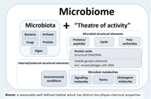 A schematic highlighting the composition of the term microbiome containing both the microbiota (community of microorganisms) and their “theatre of activity” (structural elements, metabolites/signal molecules, and the surrounding environmental conditions)