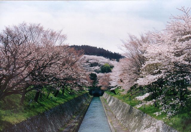 Otsu Shiga, Japan