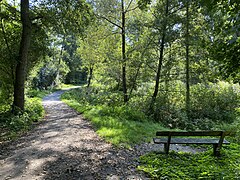 Weg am Pillebach Bereich Dernkamp