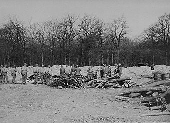 American soldiers in front of a mass grave for people killed at the Ohrdruf concentration camp. The mounds of dirt are people's ashes (1945)