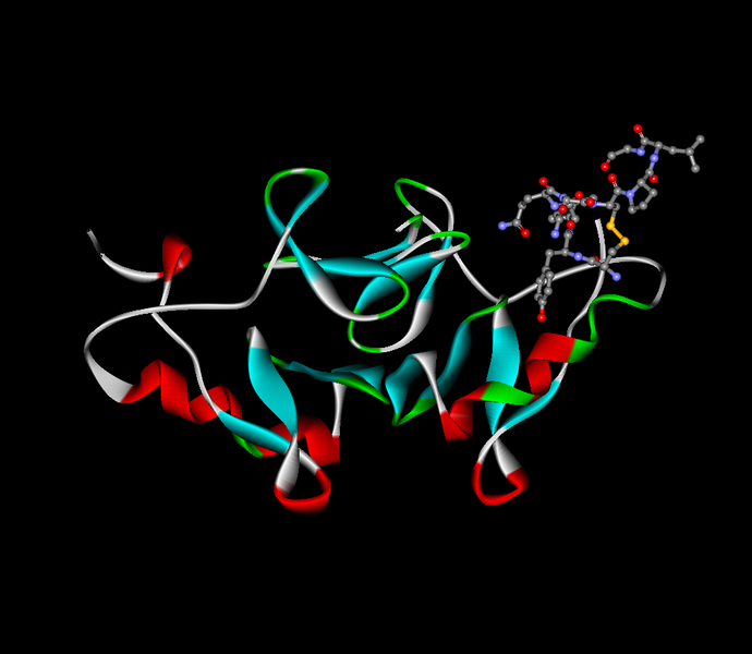 File:Oxytocin-neurophysin.png