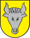 Coat of arms of Dynów