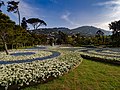 Euroflora 2018, Parchi di Nervi