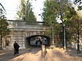 L'Île aux Cygnes in corrispondenza del Pont Rouelle