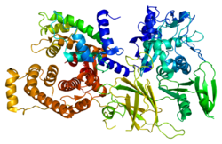 Протеин CAPN2 PDB 1df0.png