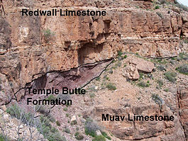 Redwall, Temple Butte and Muav formations in Grand Canyon.jpg