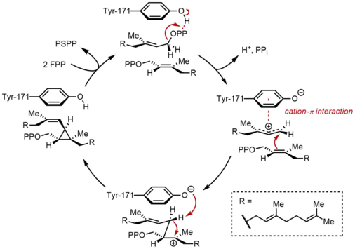 SQS Mechanism 1.png