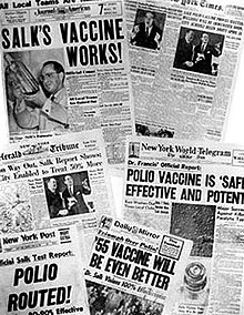 1955 newspaper headlines on the development of an effective polio vaccine Salk headlines.jpg