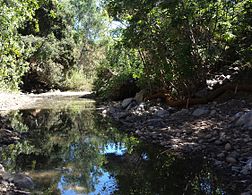 San Francisquito Creek