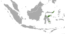 Civetová oblast Sulawesi.png