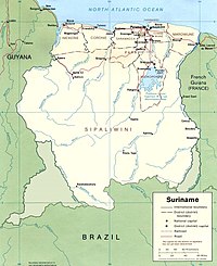 Carte du Suriname mettant en évidence les revendications du pays au sud-ouest (le « triangle de la New »).