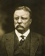 Teddy Roosevelt, the Bull Moose, led American progressives in the early 20th century