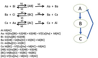 A simple three protein negative feedback loop modeled with mass action kinetic differential equations. Each protein interaction is described by a Michaelis-Menten reaction. Toy Biological Model.jpg