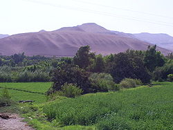 Moquegua valley