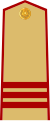 Vietnam-Army-OR-9.svg