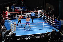 220px-World_Series_Boxing_Ring.JPG