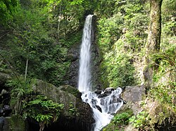 養老の滝