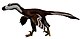 Acheroraptor NT small.jpg