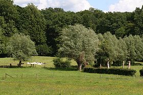 Parc naturel régional éd l'Avesnoés