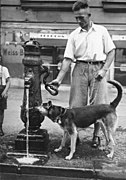 Hund und Herrchen am Brunnen (1932)[104]