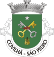 Vlag van São Pedro