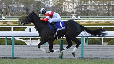 2017年冠軍「野田優驥」