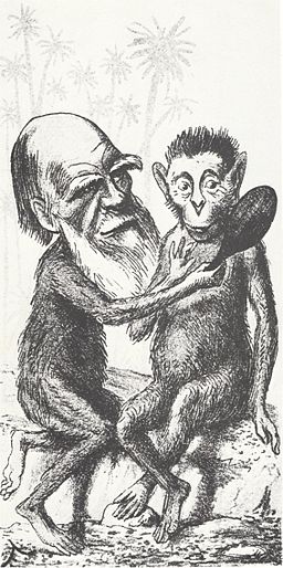 Darwin cartoon (London Sketchbook)