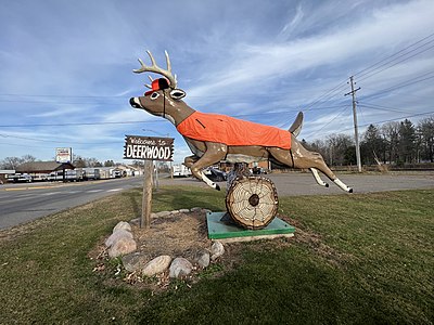 A deer in blaze orange