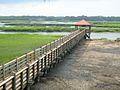 The wooden pier at Disney's Hilton Head Island Resort