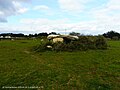 Dolmen de Saint-Pierre-Lopérec