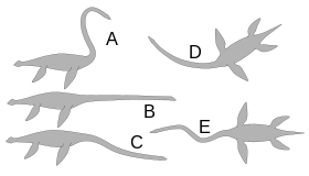 Cinq silhouettes grises d'élasmosaures dans différentes positions du cou sur fond blanc.