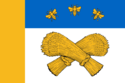 Flag of Shatsky District
