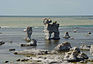 Raukar im Naturschutzgebiet Gamlehamn auf Gotland (Fårö)