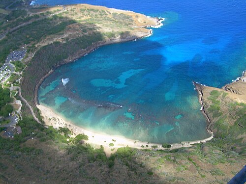 Hanauma Bay things to do in Honolulu