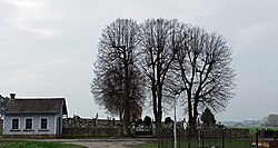 Pohled na ohnišťanský hřbitov z hlavní přístupové cesty od obce.