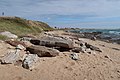 Dolmen de la Pointe de l'Herbaudière