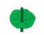 Прикрепление морфологии листа connate-perfoliate.png