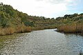 ‎Die ca. 35m tiefen Grube ist zum Teil mit Wasser gefüllt