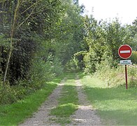 Chemin à Flixecourt, vers la Somme.