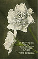 Northern_Pacific_Railway_Mother's_Day_card_1915.JPG