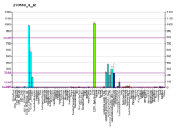 PBB GE CDC2 210559 s at fs.png