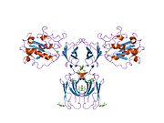 1mq8: ساختار کریستالی دومِـین I آلفا اِل در ترکیب با ICAM-1