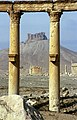 Palmyra mit Fakhr ed Din