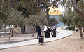 Pemandangan kaum wanita Muslim di Masjid al-Aqsa berlatar belakangkan Kubah Al-Sakhrah