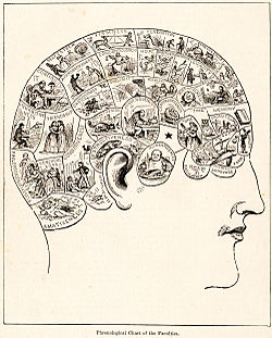 A phrenology chart from 1883. During the first half of the 19th century, phrenology was a popular study and considered scientific. By the second half of the century, the theory was largely abandoned. PhrenologyPix.jpg