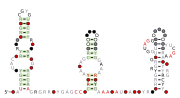 RT-3 Secondary structure taken from the Rfam database. Family RF03068