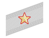 Rank insignia of colonnello con funzioni superiori of the Alpini.svg