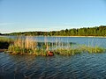 Vartiokylänlahtea ja Rastilan rantaa Puotilasta kuvattuna