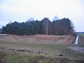 Ruhland, Fuchsberg von der Straße nach Schwarzbach, Winter; im Bild der Fuchsberggraben, rechts davon Fuchslöcher (alter Flurname); Fläche gehört jetzt zu Am Fuchsberggraben (Flurname)