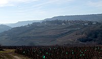 Village et vignoble de Saint-Romain.